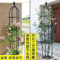 花架鐵線蓮架子爬藤架攀爬玫瑰鐵藝月季花支架玫瑰支架桿花盆支架