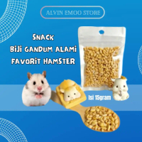 Biji Gandum Alami Snack Favorit Hamster