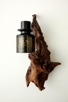 VETIVER PAMPLEMOUSSE 精華香水 60 毫升 （2.3 液量盎司）