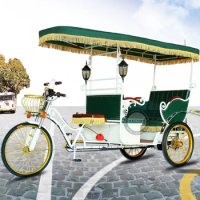 48V 800W Tourist Pedicab Rickshaw Can Seat 4 Passenger Three Wheel Electric Adult Bike Taxi Auto Rickshaw