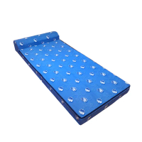 【Summer台灣製造】多功能寬80公分2折式小藍沙發床(沙發/床墊/寵物墊/嬰兒床墊/和室椅)