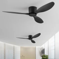 Modern Led Ceiling Fan Without Lights DC Motor 6 Speeds Timing Fans 22CM Low Floor Loft Remote Control Lux&amp;vitae Fan With Lights