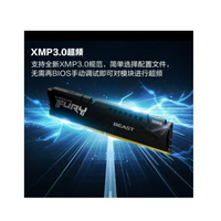 FURY Beast野獸16GB\32GB DDR5 5200\5600\6000臺式機駭客內存條【Snowbelle優選】