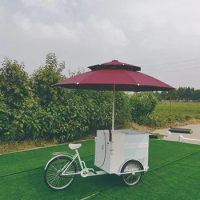 OEM CE Approved 3 Wheel Cargo Bike with Freezer Food Vending Carts for Sale Ice Cream Electric Tricycle