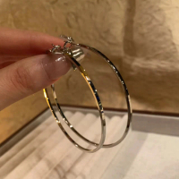 Exaggerated Circle Hoop Earrings Minimalist Style Versatile Hoop Earrings Hong Kong Style Female Stu