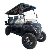 Low Price Hot Sale CE DOT Street Legal Front &amp; Rear Combination LED Lights Buggy 2 4 6 Seater Electric Vehicles Golf Cart