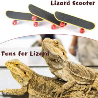 Practical Small Engineer Hat Comfortable Reptile Entertainment Lizard Parrot Helmet Small Pet Toys Exercise Decompression