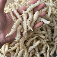 đông trùng đá sìn hồ lai châu