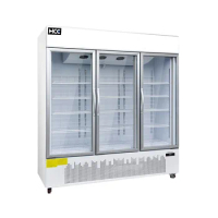 Commercial ice cream display vertical showcase freezer upright freezer with glass door