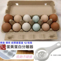 【Ainmax 艾買氏】12格環保防震家用雞蛋盒 防碰撞雞蛋保鮮收納盒(買就送蛋清分隔器)