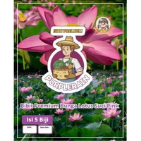 Bibit Premium Bunga Lotus Suci Pink | Biji Benih Seroja Pink | Teratai Pink