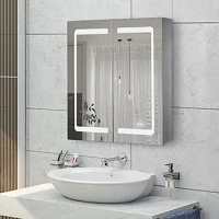 Illuminated LED Mirror Cabinet Stainless Steel Bathroom Wall Mounted Medicine Cabinet Adjustable Shelf Glass Shelves Anti-Fog