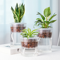 水培植物玻璃花瓶家用自吸水花盆透明直筒客廳水養綠蘿專用器皿