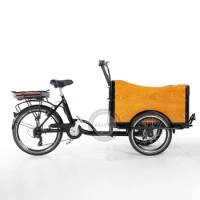 Front Loading Motorized Electric Trikes With Cargo Box Dutch Bike 3 Wheel Tricycles For Family