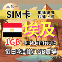 埃及上網卡 1-30天自訂天數1GB  降速吃到飽 埃及旅遊上網卡