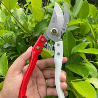 Gunting taman dahan ranting - Gunting taman pohon
