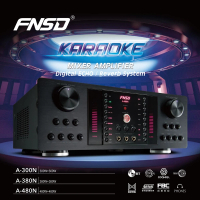 FNSD 480W數位迴音卡拉OK綜合擴大機(A-480N)