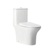 電光二段式奈米P排馬桶白色18cm/AC2972PK
