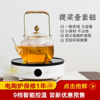 電陶爐煮茶壺玻璃提梁壺過濾燒水壺套裝泡茶壺花茶壺家用功夫茶具