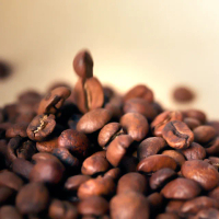 【木子家咖啡】甜野玫瑰｜哥倫比亞淺中焙咖啡豆(半磅/包、PROBAT烘豆機、蜜處理)