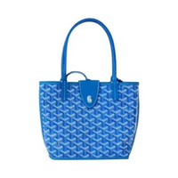 Goyard Anjou Mini Bag with Croc Universel Sky Blue Blue