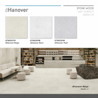 ROMAN GRANIT Matte 80x80 dHanover