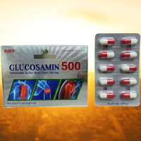 Glucosamin 500 - Rostex - Mediphar USA - Vitamin Thanh Lọc