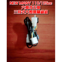 NEW MANY 110/125 台灣製造 六期改五期 線組 光陽 KYMCO