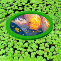 5pcs/set Flexible Fish Tank Grass Blocking Rings Heat-resisting 8-20CM Aquarium Floating Plant Corral EVA Floating Plant Rings