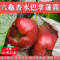 【e果園】高雄六龜香水蓮霧-大果禮盒5台斤/盒x2盒(大果-約18-19顆/盒x2盒/產地新鮮直送)