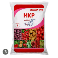 Pupuk MKP Pak Tani 1 kg - Nutrient