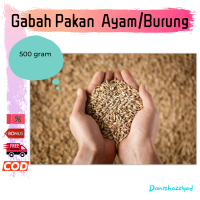 Gabah Padi Kering Pakan Ternak Ayam Burung Perkutut Love Bird Lovebird Kenari 500 Gram