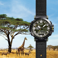 CASIO卡西歐 PROTREK 戶外探索 太陽能電力 三重感應器 數位羅盤 布質錶帶 環保材質設計 PRG-601YB-3_51.5mm