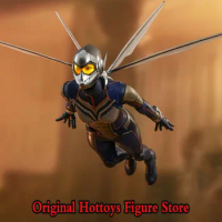 HOTTOYS HT MMS498 1/6 Scale Female Soldier Ant-Man And The Wasp Full Set 12-inch Action Figure Model Collection In Stock