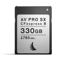 ANGELBIRD AV PRO CFexpress SX TYPE B 330GB 記憶卡 公司貨.