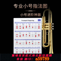 【台灣公司 可打統編】專業小號指法圖解 降B調短號練習表五線譜樂隊演奏銅管樂器初學習