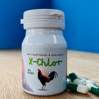 Obat ngorok ayam x-chlor obat CRD Obat pilek ayam