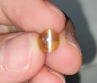 Natural Chrysoberyl Alexandrite Strong Cat's Eye 2.7cts