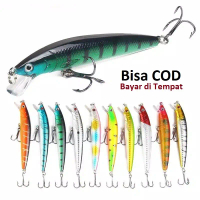 Lure Minnow Floating 10cm/7.5gr Umpan Pancing Ikan Casting Fishing Lure Bait