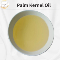 Palm Kernel Oil Carrier Oil 500ml 1L