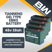 2025 new Ebike Battery 48v 28/38ah Tianneng Battery  Brand Gel Type Solar Compatible for NWOW ERV(S)