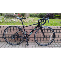 2021 liv avail 3 公路車 (捷安特 giant langma tcr)