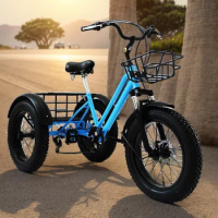 20 inch fat tire Mountain Bike 7 speed off road tricycle carbon steel farm tricycle leisure elderly tricycle with fruit basket