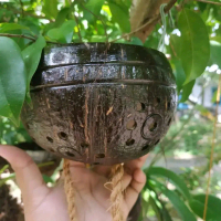 pott tempel batok/pot tempel tempurung kelapa