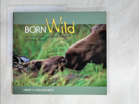 【書寶二手書T5／攝影_FM4】Born Wild in Yellowstone and Grand Teton National Parks_Holdsworth, Henry H. (PHT)