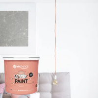 【dHSHOP】dH風格油漆 經典白色 白色 限量聯名品牌款 獨家販售 1公升 虹牌油漆(室內牆面乳膠漆)