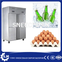 4 door hotel restaurant kitchen upright deep freezer