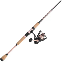 Penn Passion II Spinning Reel and Fishing Rod Combo