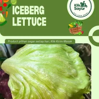 ICEBERG LETTUCE