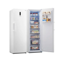 【only】280L 節能進化 立式無霜冷凍櫃 OU280-M02Z(比變頻更省電/280公升)